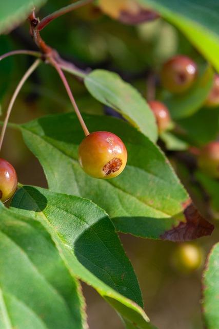 体育经济 体育经济