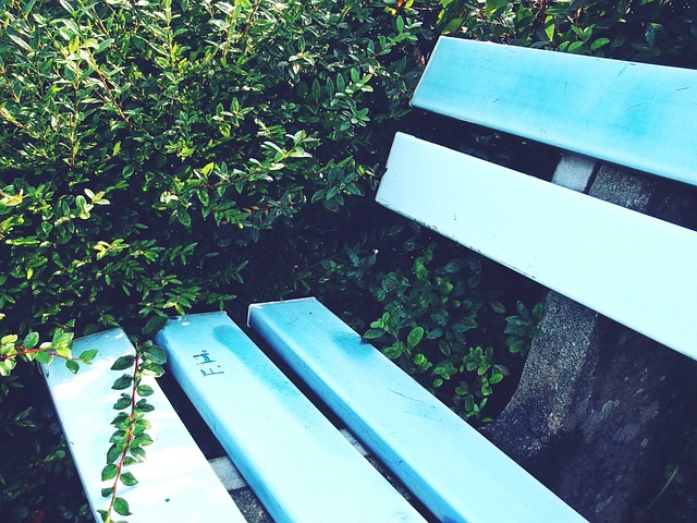 具备一定的 具备一定的