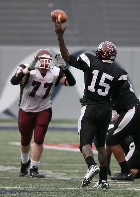 运动的支持 运动的支持