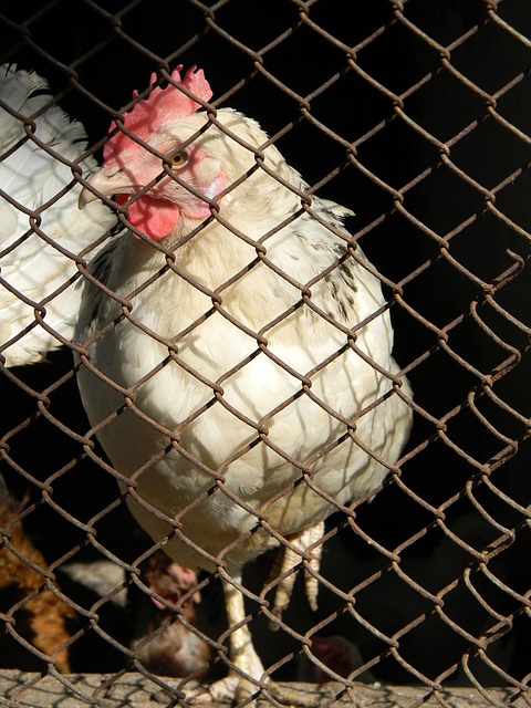 叶尔杰提此 叶尔杰提此