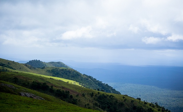 不仅吸引了 不仅吸引了