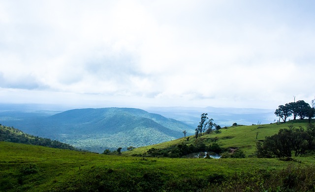巴媒：上海海港正式報價歸化國腳艾克森.