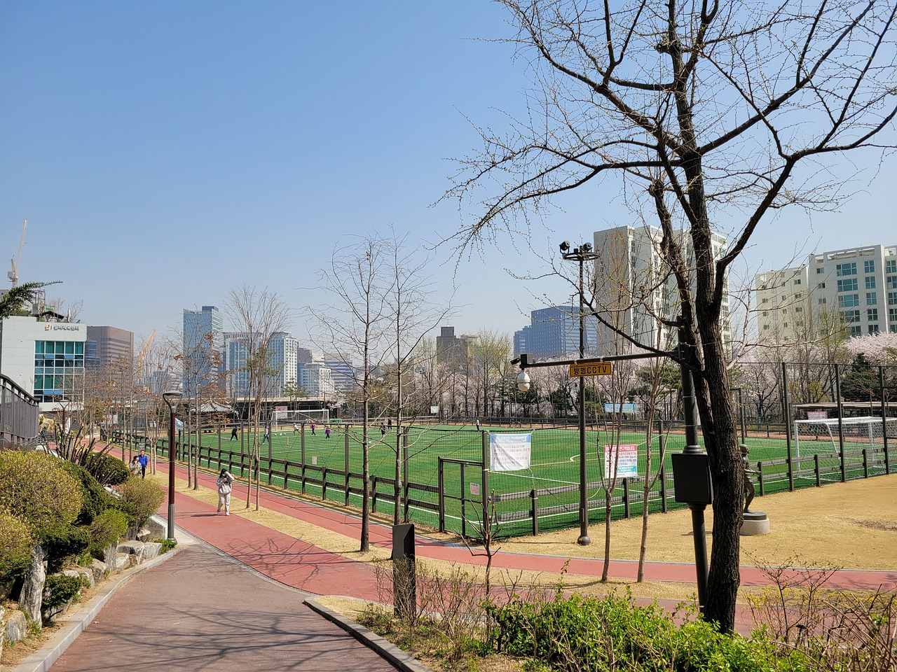 这为球队在 这为球队在