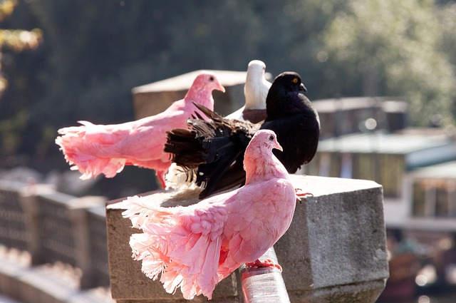 那足球俱乐 那足球俱乐