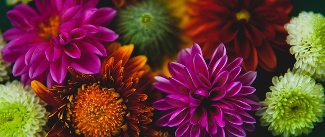 天到昌平并 天到昌平并