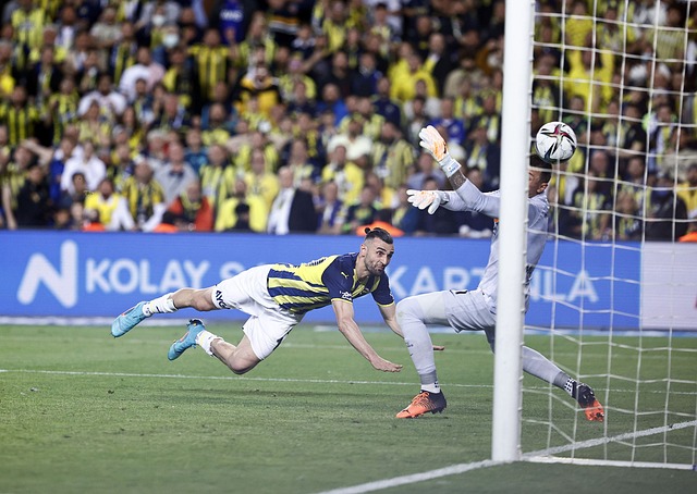 NBA夏联-中国男篮负黄蜂 杨瀚森12分7失误6犯.