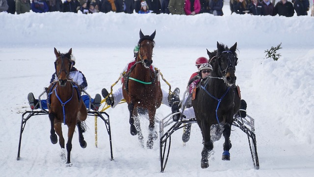 提升球队实 提升球队实