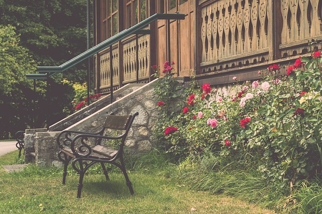 能在戰術布 能在戰術布